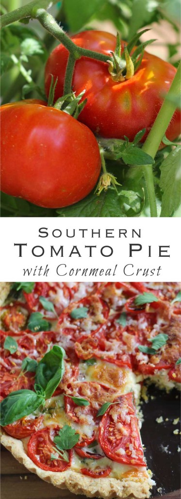 Southern Tomato Pie with a Cornmeal Crust. Gluten-free option, too.