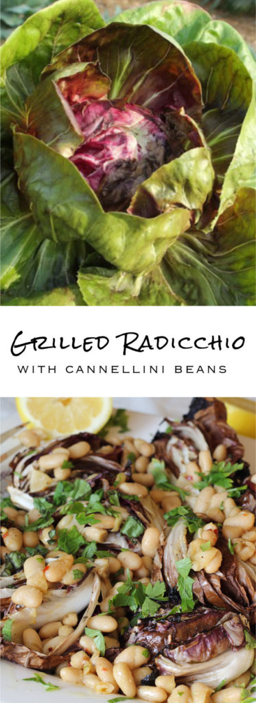 Grilled Radicchio topped with cannellini beans and garlic. Perfect for summer barbecues, super easy, and, most importantly, completely delicious!