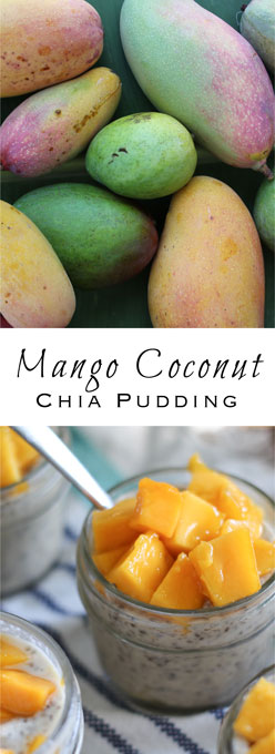 Mango Coconut Chia Pudding-- a creamy cool summer treat.