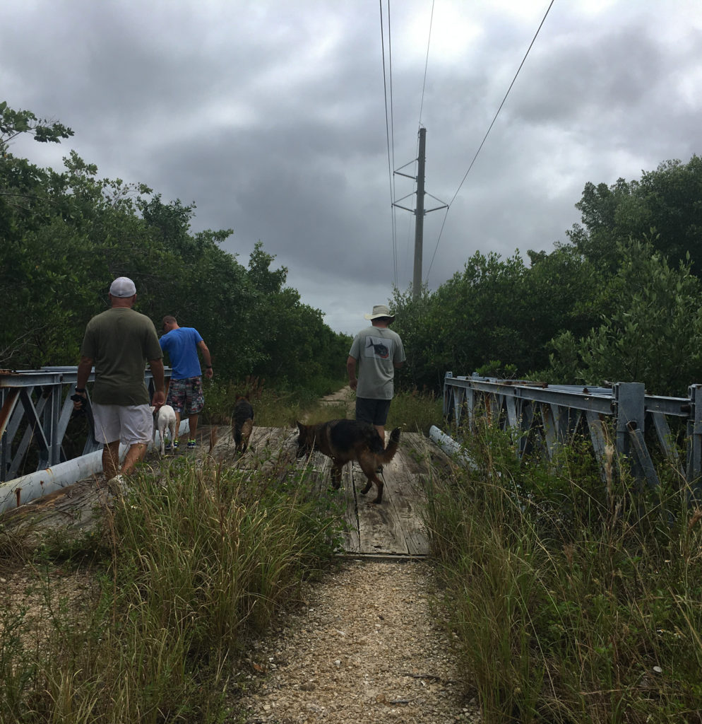 hurricanehike