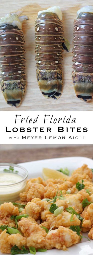 Fried Florida Lobster Bites with Meyer Lemon Aioli