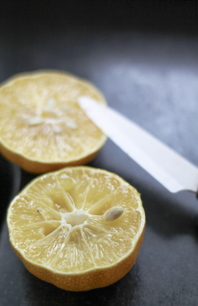 Agrisicilia Sicilian Lemon with Ginger Marmalade, 12.7 oz