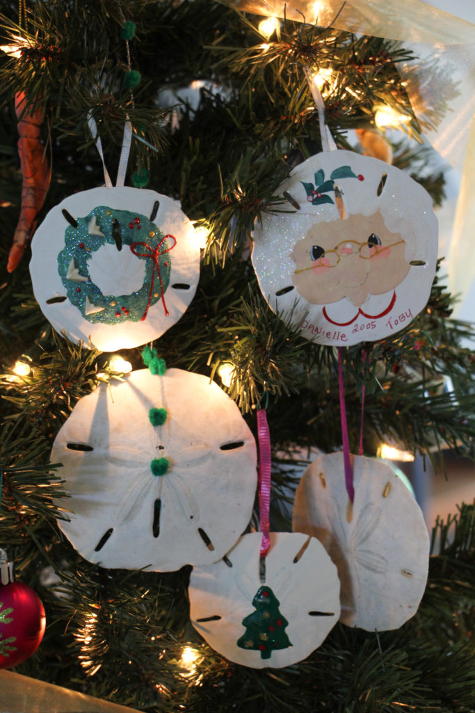 A Sand Dollar Wreath - Suwannee Rose