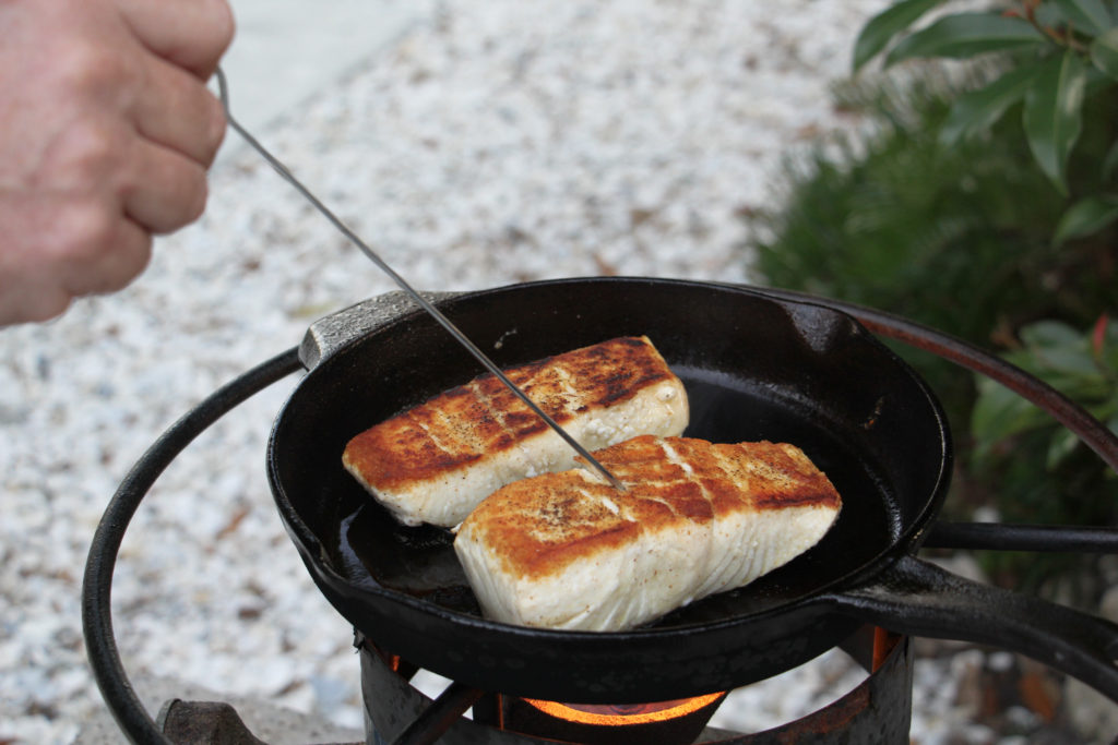 A Cake Tester Will Tell You When Your Fish and Meat Is Cooked