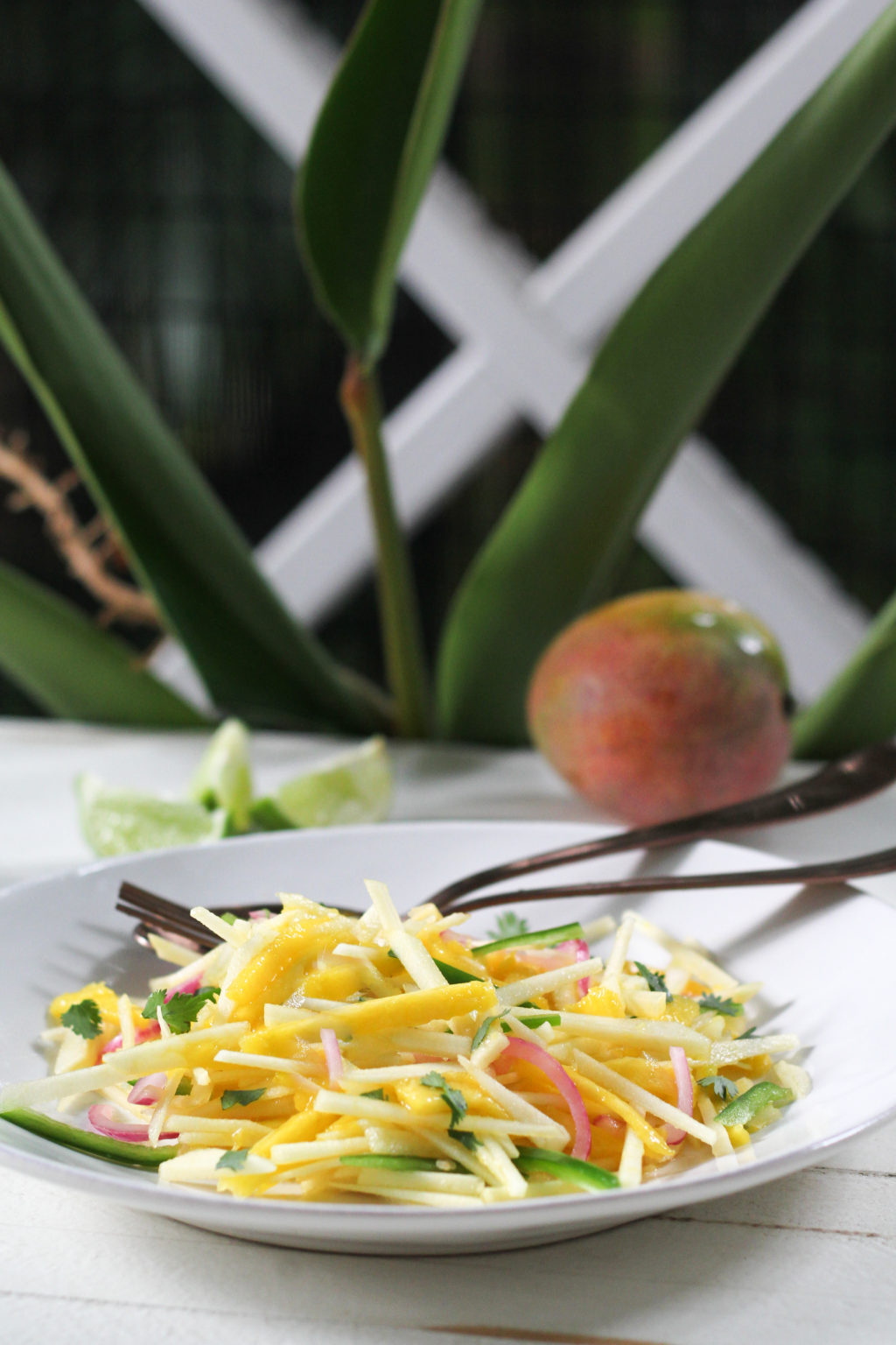 Spicy Mango Jicama Slaw | Suwannee Rose